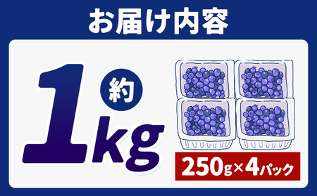 訳あり 数量限定 ブルーベリー 1kg ブルーベリー