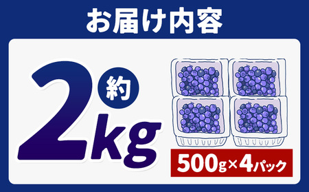 訳あり 数量限定 ブルーベリー 2kg ブルーベリー