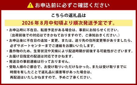 ［先行受付］北海道十勝産 木野シャイニングコーン12本セット【A15】2026年8月中旬頃より順次発送