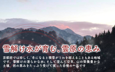 令和7年産 雲原のむすび米 コシヒカリ (5kg×2袋・計10kg) ふるさと納税 福知山市 こしひかり コシヒカリ 米 お米 コメ 白米 おむすび おにぎり 精米 【fc-EP002】【京都、雲福・結農園】