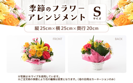 選べるカラー 季節のフラワーアレンジメント S (レッド・ピンク) 【お花 フラワー アレジメント 花束 ギフト 生花 プレゼント 花束 花 記念日 敬老の日 お祝い】 [A-20701_01]