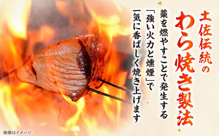 老舗魚問屋「大熊」の藁焼き鰹タタキ 2節（約700g） / 高知 魚 海鮮 刺身 鰹 かつお カツオ たたき タタキ 藁焼き 【株式会社Dorago】[ATAM053]