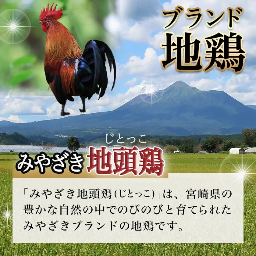 【たしろ屋】みやざき地頭鶏のたたき300g〔AA-9907〕_(都城市) 都城市産 みやざき地頭鶏 たたき もも肉 むね肉使用 タレ付