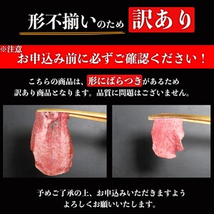 訳あり ネギ塩 牛タン 焼肉 うす切り 計約1kg (500g×2P) タン 訳アリ 肉 ※配送不可：離島