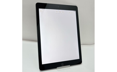 【ふるさと納税】iPad 第6世代 32GB Wi-Fiモデル（スペースグレー） Apple 中古品