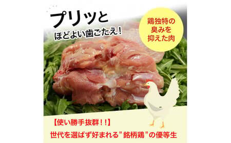 高知育ちの銘柄鶏 四万十鶏 もも肉 1kg 鶏もも 肉 冷凍 唐揚げ ／Adf-B29