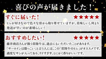 常陸牛 ヒレステーキ 250g×2枚 (500g)( 茨城県共通返礼品 )