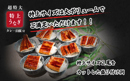 うなぎ 国産 特上 ウなぎ 蒲焼き 2尾カット 550g 化粧箱