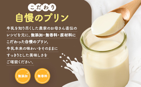 八雲ミルクプリン　90g×14個入 ※沖縄・離島への配送不可