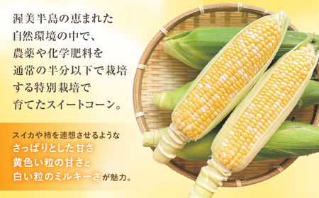 【先行予約】寺田さんちのとうもろこし バイカラー 10本～12本 約4kg とうもろこし