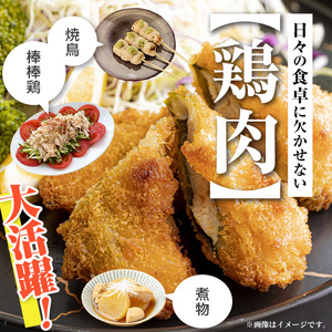 i1094 鹿児島県産 若鶏 ささみ (2kg×2P・計4kg ) 鶏肉 ササミ 国産 九州産 お肉 ダイエット 蒸し料理 チキン ヘルシー 冷凍 鶏ササミ 【まつぼっくり】