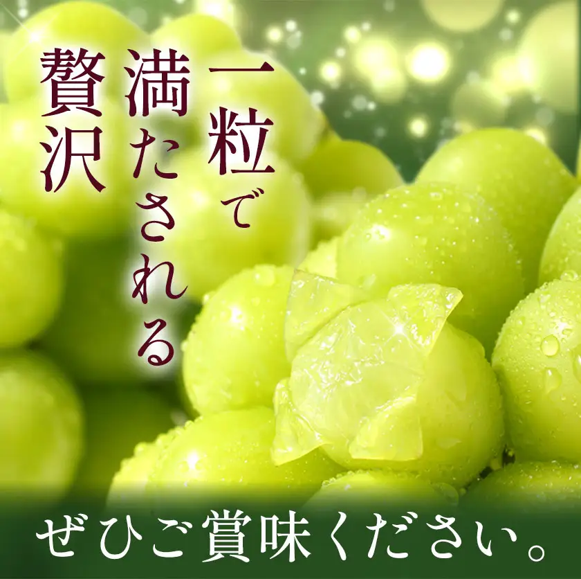 ぶどう シャインマスカット マスカット 1kg 《8月下旬-9月中旬頃出荷》
