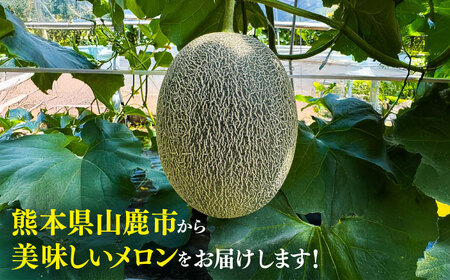 【先行予約】  山鹿の恵み! 匠の育てた　肥後グリーン メロン 約4kg以上（約2kg以上×2玉）【きもと農園】[ZFQ001]