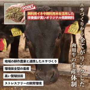 No.1247 ＜定期便・全3回(連続)＞カミチクグループの定番！鹿児島県産黒毛和牛定期便(合計1.3kg) 牛肉 黒毛和牛 和牛 ステーキ スライス 焼肉 BBQ キャンプ 定期便 頒布会 A5 冷凍 ギフト 贈答【LRプラスK】