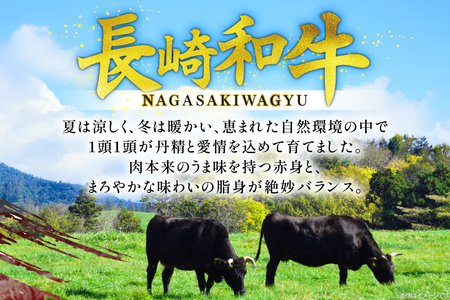 牛肉 和牛 長崎和牛 特上 すき焼き 380g すきやき [彼杵の荘 長崎県 東彼杵町 hs42bag270014]