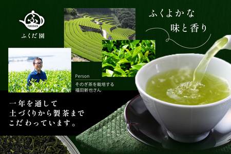 お茶 そのぎ茶 【TVで紹介！】そのぎ茶 (極上) 100g 3袋入 [ふくだ園 長崎県 東彼杵町 hs42bag770001]