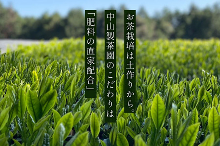 お茶 緑茶 ［第73回全国茶品評会 蒸し製玉緑茶 農林水産大臣賞受賞］そのぎ茶 (特上) 「華の香」100g 3袋入り 総計300g [中山製茶園 長崎県 東彼杵町 hs42bag620000]
