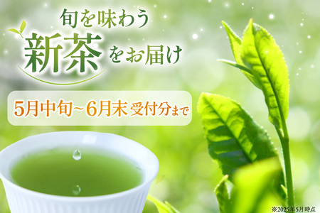 茶 緑茶 新茶 そのぎ茶（極上）100g ２袋 総計200g 郵便受け配達 [まるせい酒井製茶 長崎県 東彼杵町 hs42bag370013]