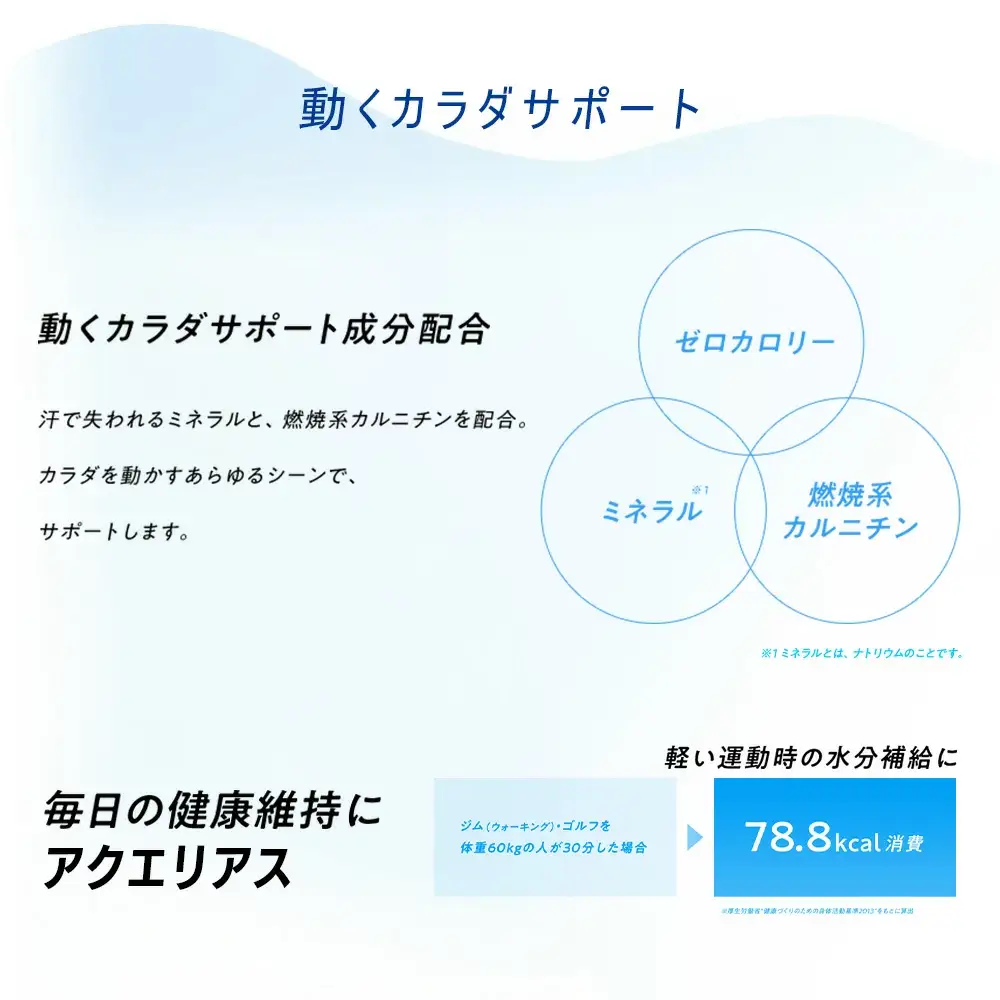 【6か月連続お届け】アクエリアスゼロ　500ml PET×24本　【04301-0663】