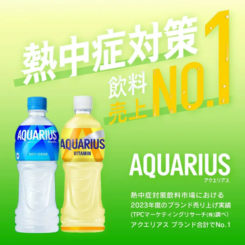 【2か月連続お届け】アクエリアス ビタミン　500ml PET×24本　【04301-0684】