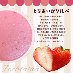 いちごジェラート(とちひめソルベ、とちあいかソルベ、ミルキーベリーソルベ)6個入り箱