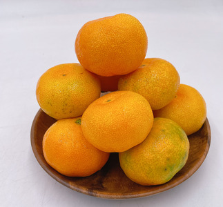 ハウスみかん 秀品 1.0kg 化粧箱 みかん 【7月下旬から順次発送予定】 人気 数量限定 柑橘 愛媛 伊予市｜B426