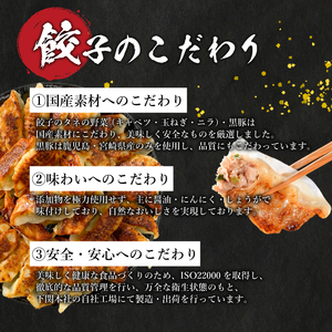訳あり 黒豚餃子 72個 定期便 毎月6回 餃子 ギョウザ IB