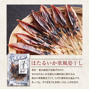 海煎極みギフト せんべい おつまみセット えびせん 甘エビ ホタルイカ 45-03