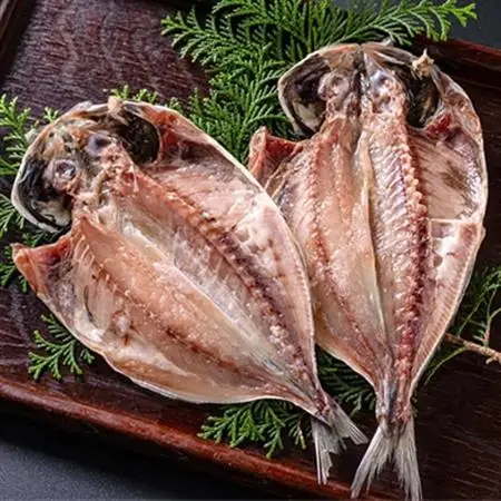 干物セット【特トロあじ10枚セット】　伊豆・伊東のひもの詰め合わせ　静岡県伊東_魚介・海産物  鮮魚 _【配送不可地域：離島】【1607078】