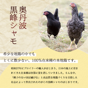 軍鶏 シャモ 新鮮軍鶏 奥丹波黒峰 1羽