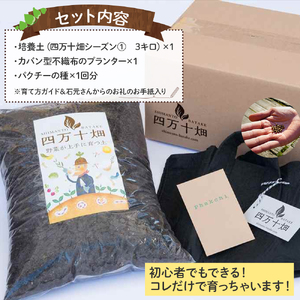初心者も安心「並盛り」パクチー栽培キット／Fis-B05 パクチー 趣味 ガーデニング 家庭菜園 園芸 ベランダ菜園 プランター 種 種子 プロ仕様の肥料 培養土 トムヤムクン タイ料理