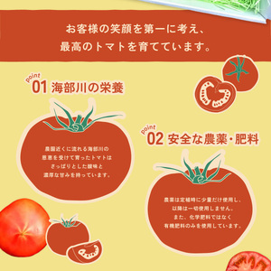 フルーツトマト「海部川のしずく」約1kg トマト とまと tomato