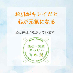 洗心・洗顔せっけん 石けん 固形石けん 洗顔石けん 石鹼