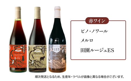 ワイン6ヵ月定期便◎月2本×6回◎多田ワイナリー◎野生酵母ワイン 北海道 上富良野町 ワイン 赤ワイン 白ワイン 微発泡ワイン オレンジワイン