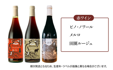 6ヵ月定期便◆野生酵母ワイン 毎月3本お届け(6ヵ月間) 多田ワイナリー 北海道 上富良野町 ワイン 赤ワイン 白ワイン 微発泡ワイン オレンジワイン