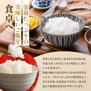 三重県産減農薬コシヒカリ 4キロ（2キロ×2） ／ 米  精米 お米 人気 