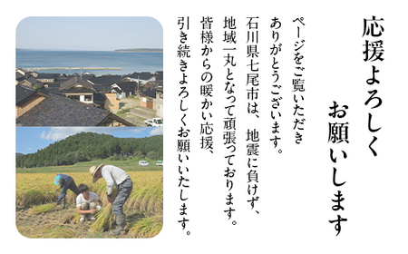 令和7年産 コシヒカリ 能登米(3kg×2袋)  | こめ 国産 訳あり 生活応援価格 ご家庭用 石川県 七尾市 ※2025年12月中旬頃より順次発送予定