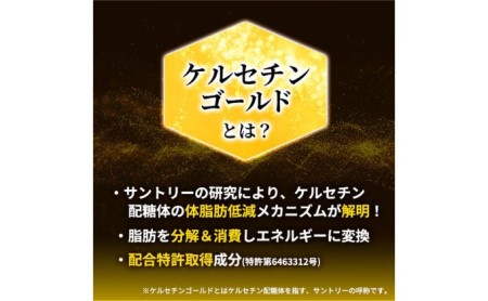 お茶 定期便 2ヶ月 伊右衛門 特茶 500ml × 24本 サントリー 緑茶 ドリンク 定期 2回