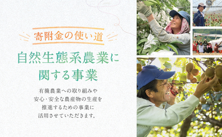 【返礼品なしの寄附】宮崎県綾町 ＜自然生態系農業に関する事業を応援＞ 30,000円 寄附のみ 応援寄附 寄付_0000-015