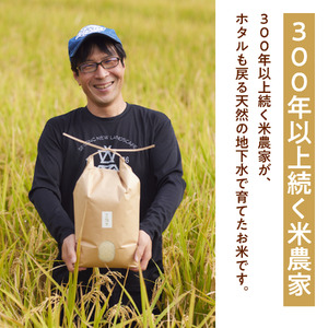 定期便パックごはん 白米20個×10回コース毎月発送「金鵄米きんしまい」 300-004