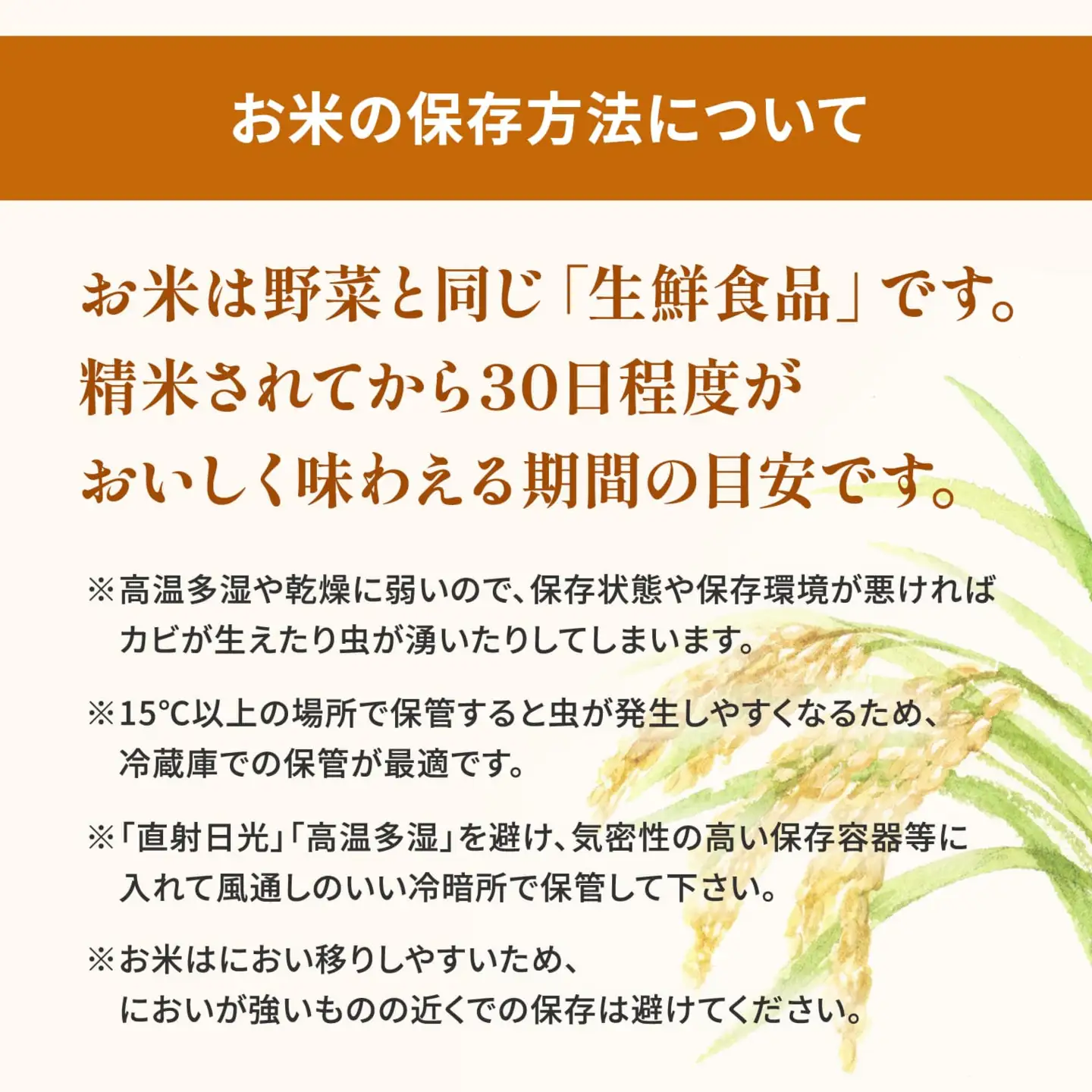 白米 5月内発送 ランダム 5kg 茨城県産 令和7年産 米 K2464