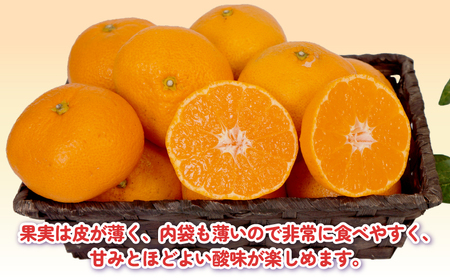 【11/20～12/20発送予定】 みかん 訳あり 完熟 大玉みかん 10kg 杉本屋 B010-143017