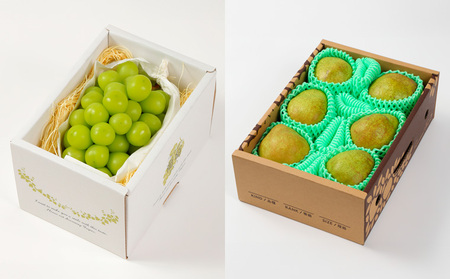 【定期便3回】果物定期便コース(さくらんぼ、シャインマスカット、ラフランス)  FY25-025