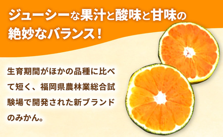 みかん 福岡ブランド みかん・早味かん 約4kg 柑橘 ミカン フルーツ 果物 ※配送不可:離島