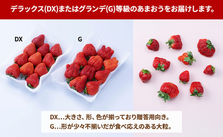 【冬】福岡産あまおう4パック いちご  苺 イチゴ フルーツ 果物 ※配送不可:離島