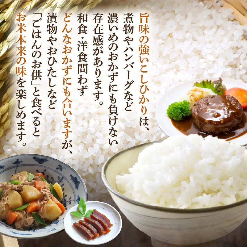 令和7年産  5kg 精米 コシヒカリ 福井県産《14日以内に出荷予定》 [e66-a013]