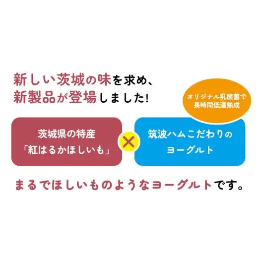 筑波ハム 『 まるでほしいも 』合計3個 ほしいもクン特製 化粧箱入り （100g×3個入り ×1箱） ( 茨城県共通返礼品 )