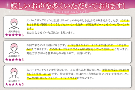 ワイン 勝沼ぶどうの丘推奨スパークリングワイン辛口2本セット B2-604