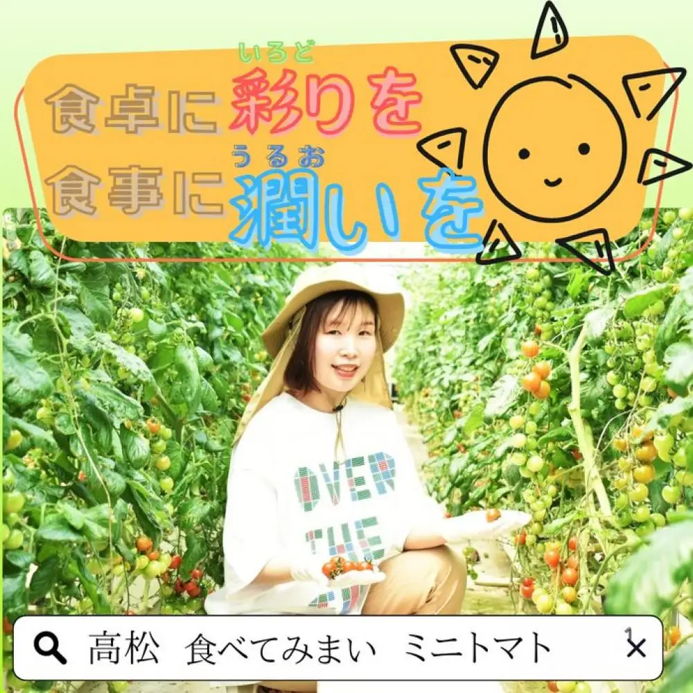 ミニトマト1.2kg (200g×6パック詰め）