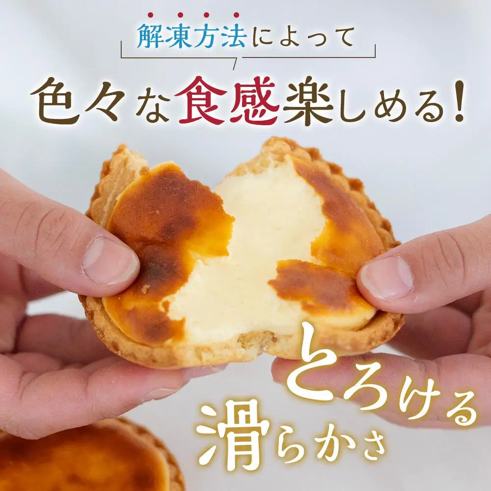 かにわしタルト店の食べ方選べる魔法のチーズタルト12個入り（4個入り×3箱）